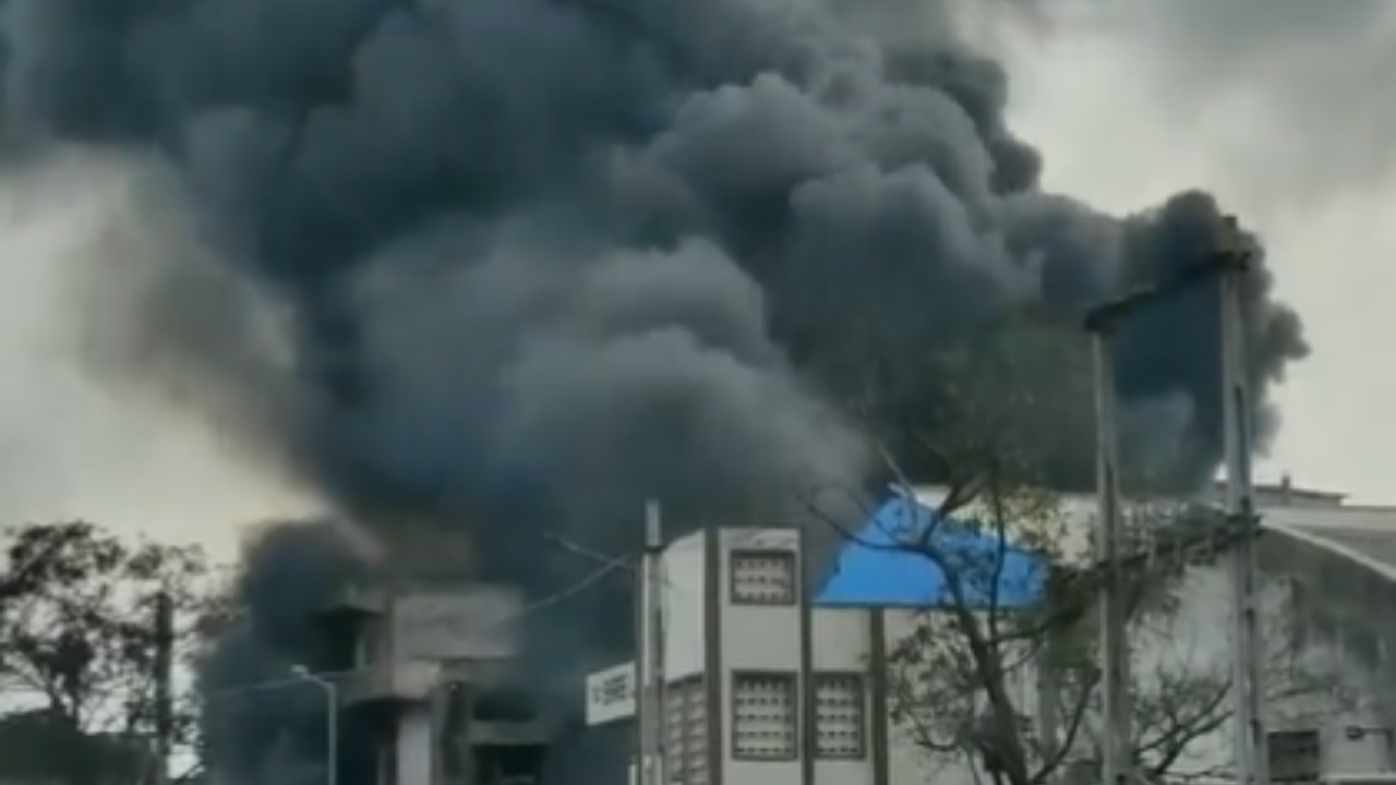 Gujarat: Massive Fire Erupts at Paints Company in Valsad|Watch