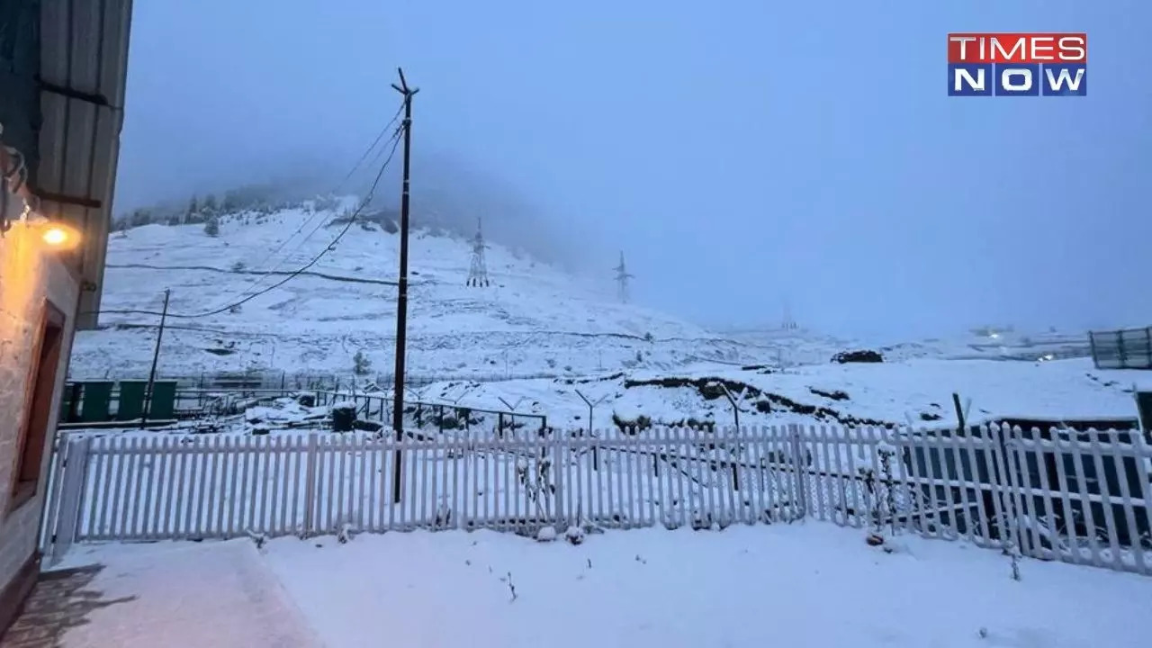 WATCH As Kashmir Receives Snowfall, IMD Predicts Weather To Improve WATCH As Kashmir Receives Snowfall, IMD Predicts Weather To Improve