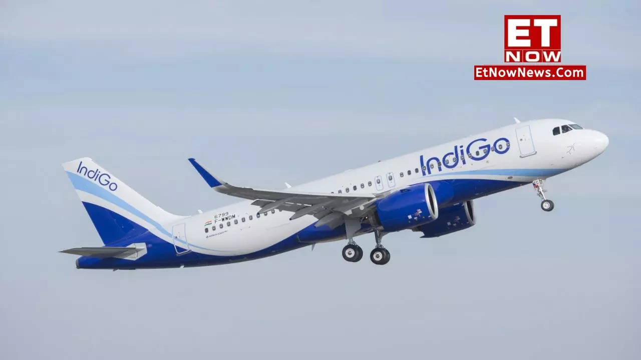 Indigo Airlines International flights