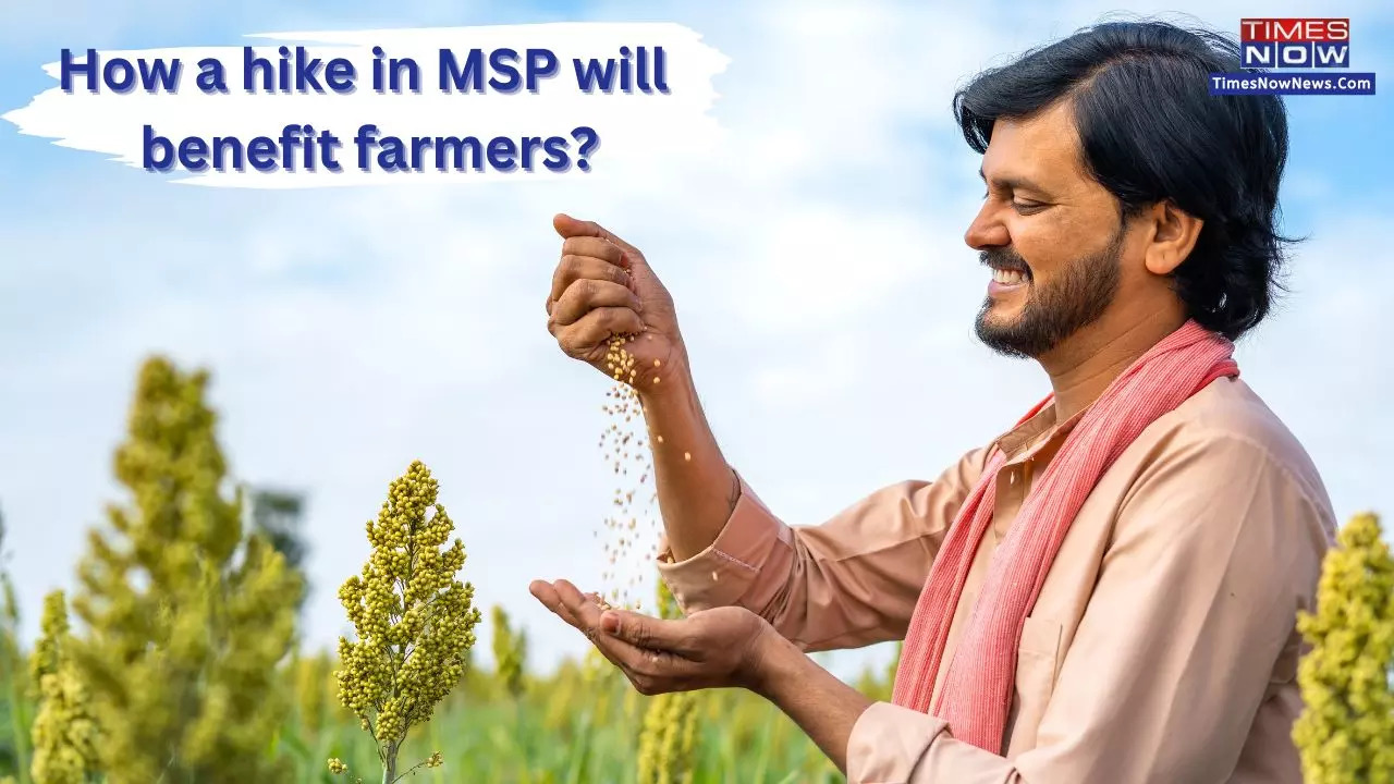 Govt Hikes Wheat MSP By Rs 150: What is MSP and How Recent Announcement Will Benefit Farmers?