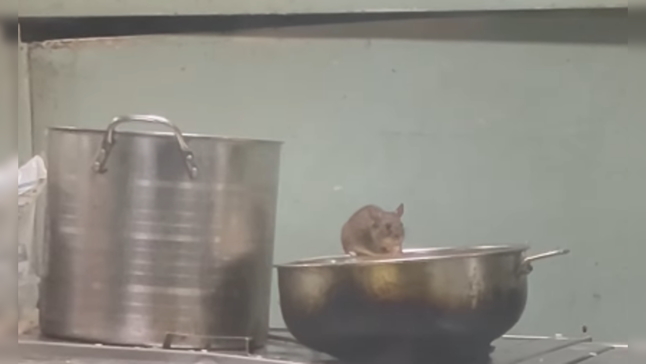 Rat In Pantry Car Of Mumbai-Goa Express