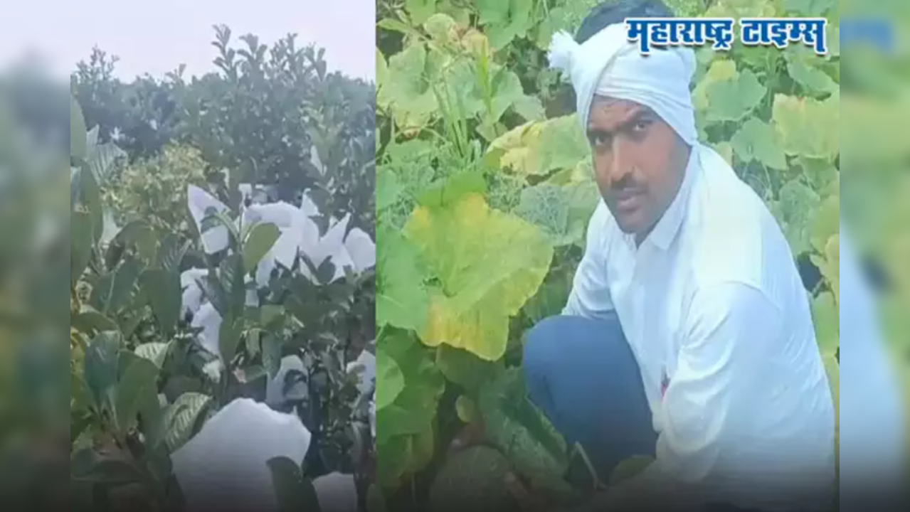 MBA man starts farming fruit trees