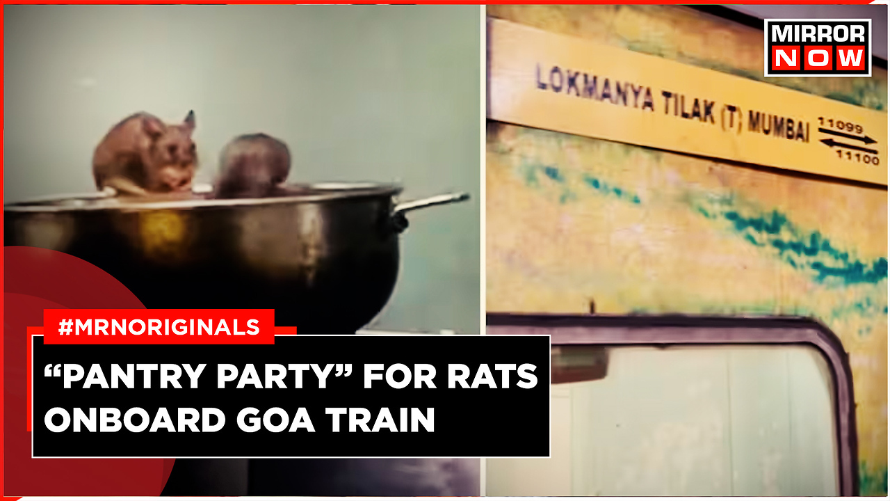 Caught on Cam: Rats Found ‘Feasting’ On Food in Pantry of Mumbai-Goa ...