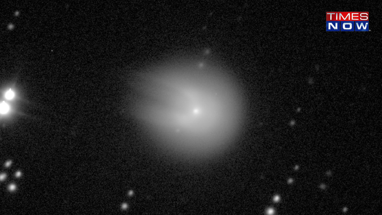 Horned Comet