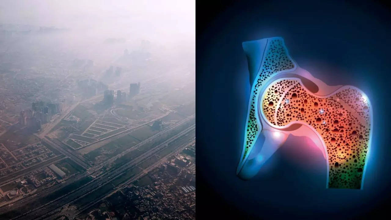 Air pollution and osteoporosis