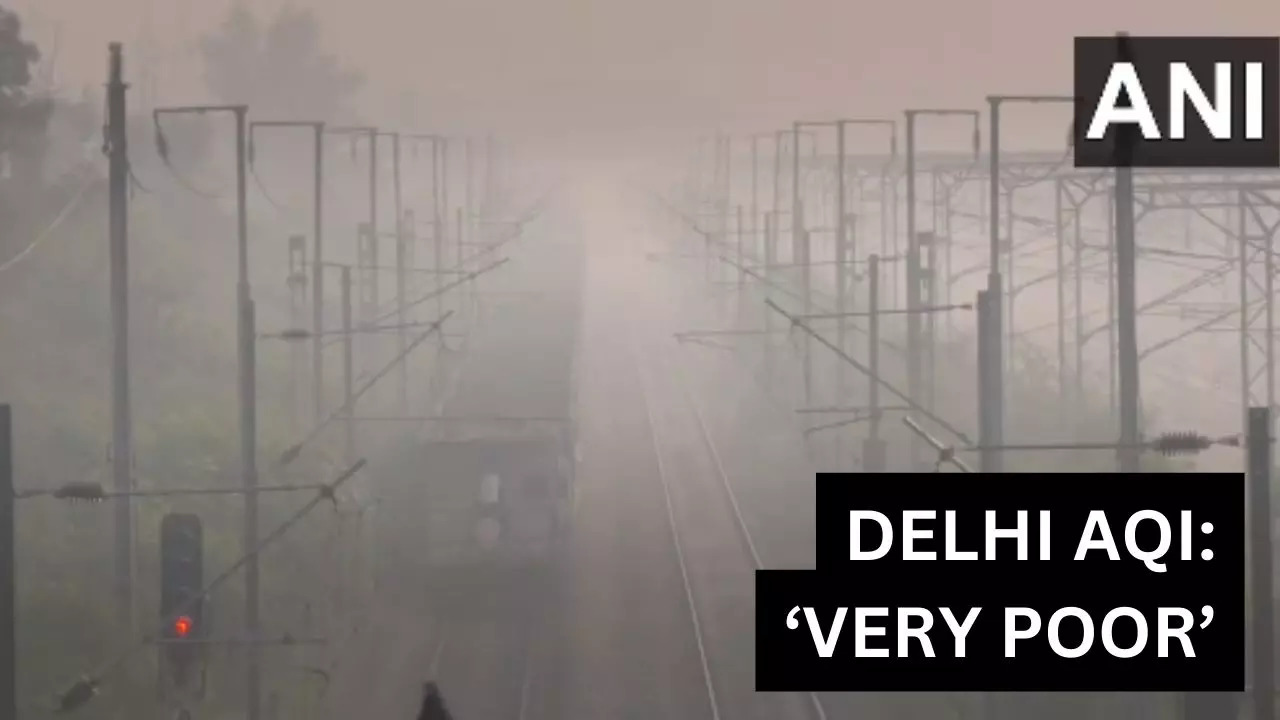 Delhi air quality worsens