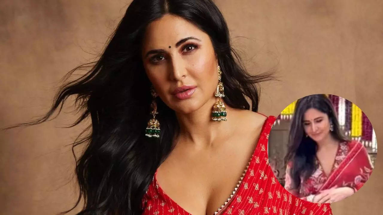 Katrina Kaif Looks Red Hot as She Flaunts Her Perfect Curves in Gorgeous  Saree