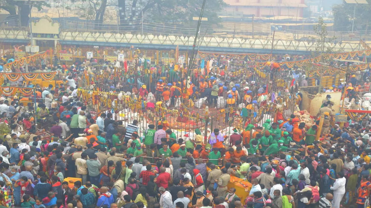 medaram jatara