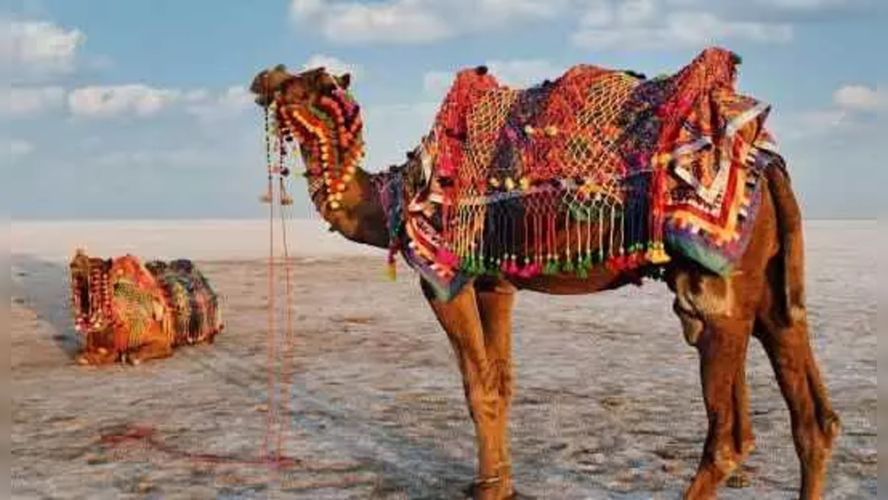 Rann of Kutch Dhordo Village.