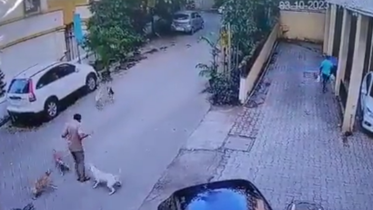 Video: Aggressive Stray Dogs Attack Postman In Mumbai's Powai, Watch How He Got Saved