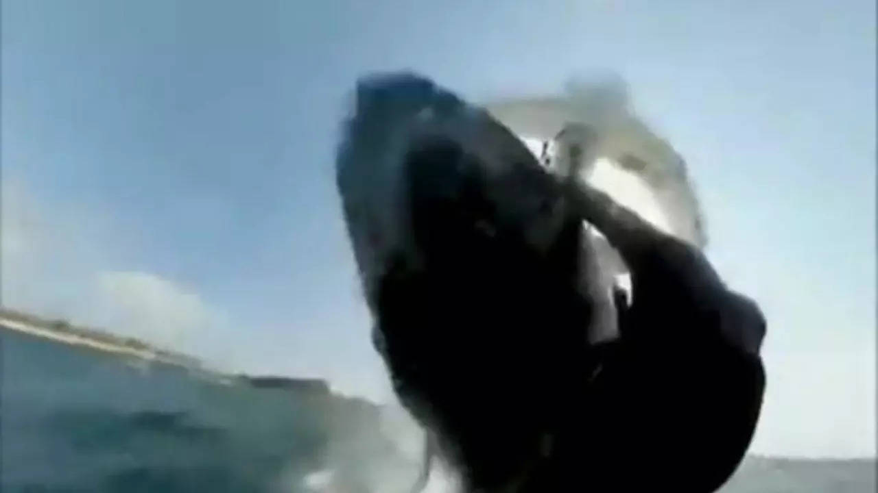 Australian Surfer Slapped By Whale