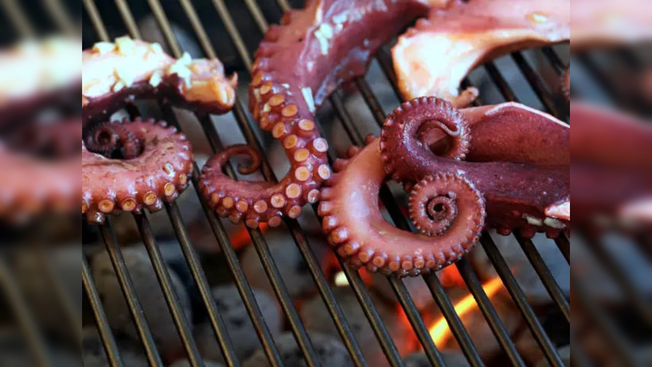 octopus dish