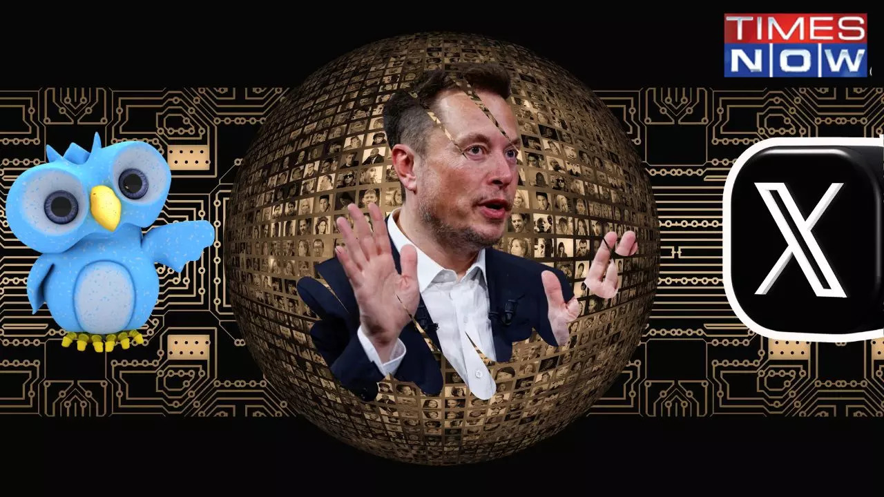 One Year of Elon Musk's X