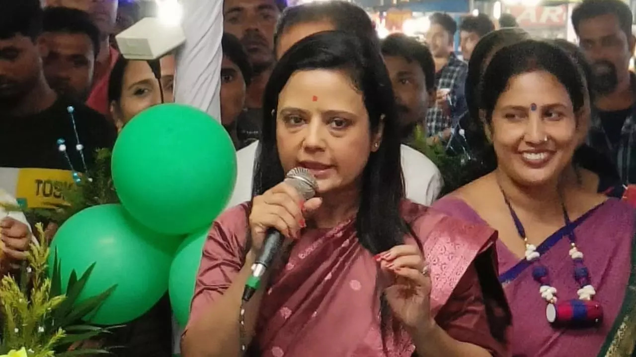 Cash-for-query case, Lok Sabha Ethics Committee, TMC MP, Mahua Moitra