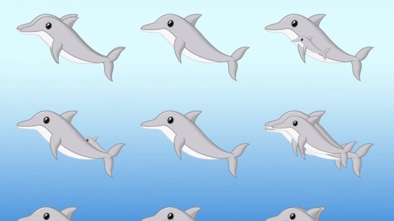 There are 17 dolphins lurking within the image.