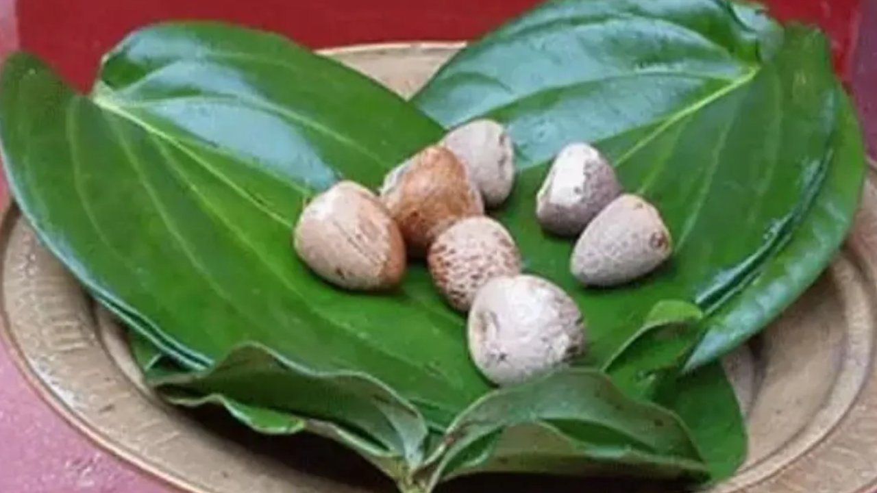 betel nut