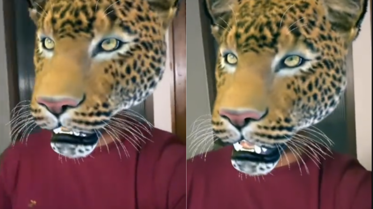 Comedian Danish Sait's Hilarious Take On Leopard Sightings Goes Viral