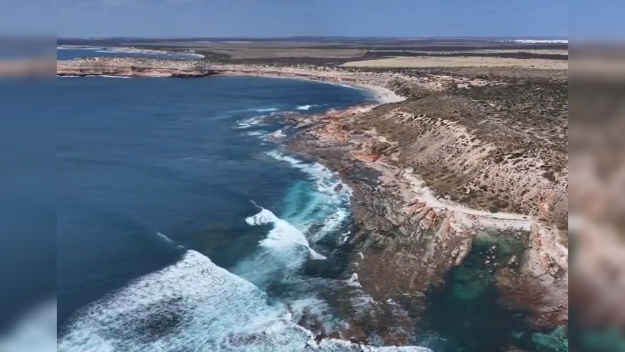 Eyre Peninsula Shark Attack Australia