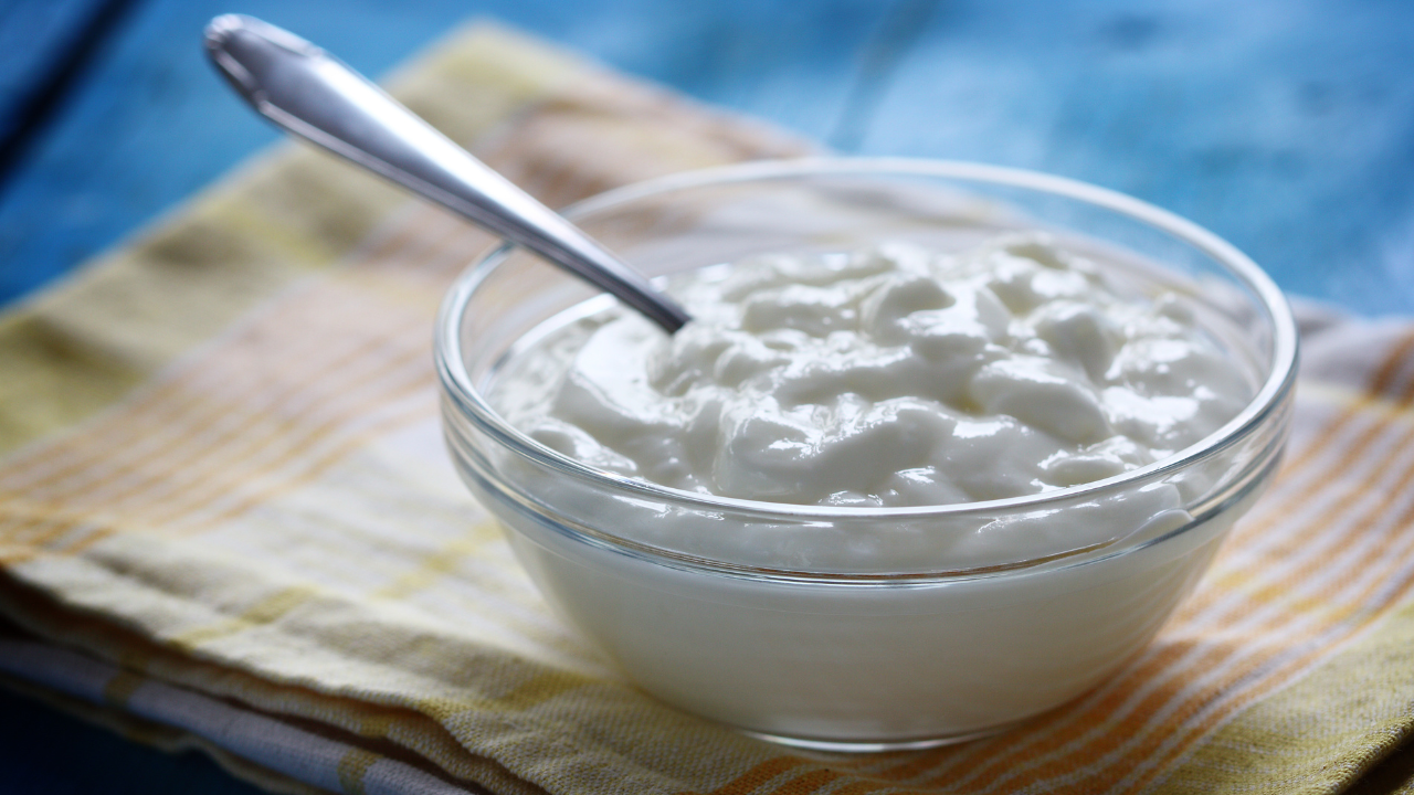 5 Sour Curd Recipe Dishes To Make At Home. Pic Credit: Canva