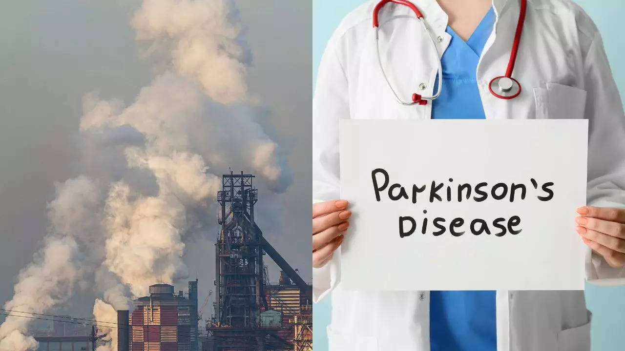 Exposure To Air Pollution Increases Risk Of Parkinson s Disease By