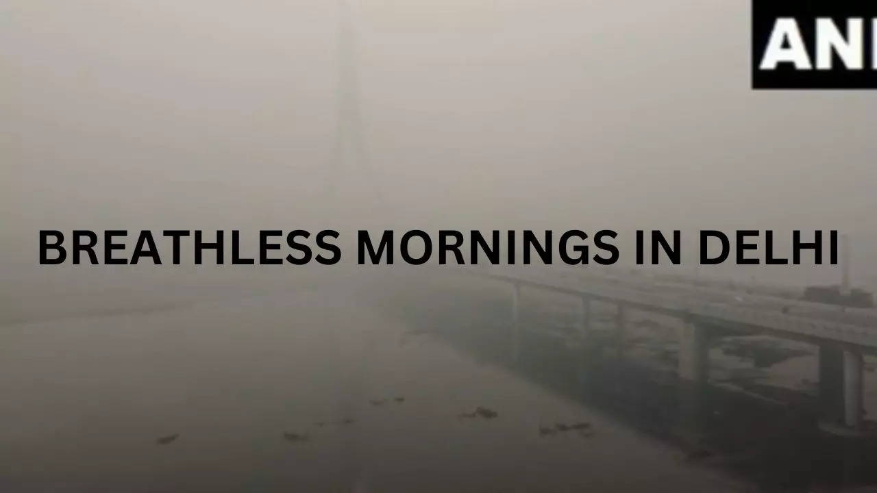 BREATHELESS MORNINGS IN DELHI