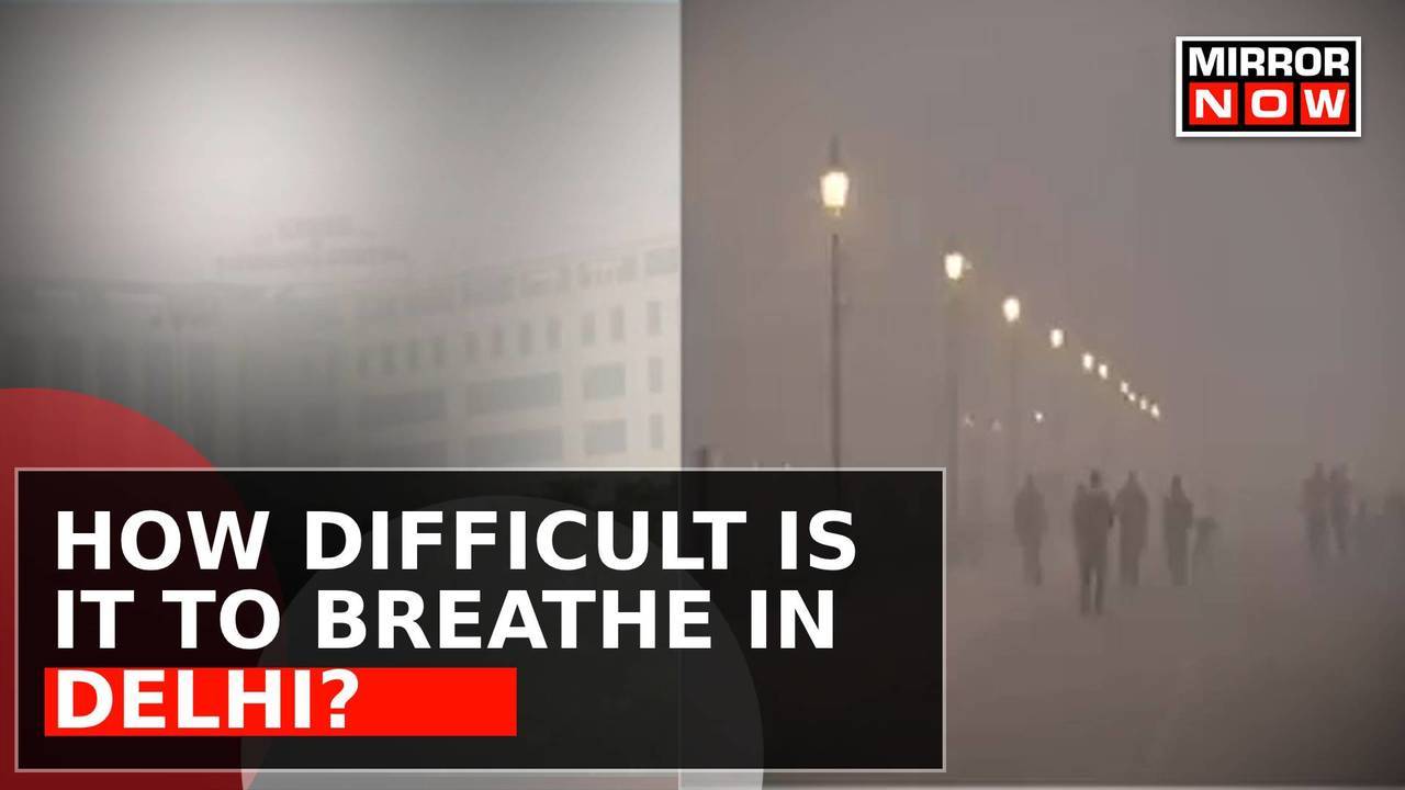 Citizens React On Delhi's Hazardous Air, Says 'It Has Become Difficult ...