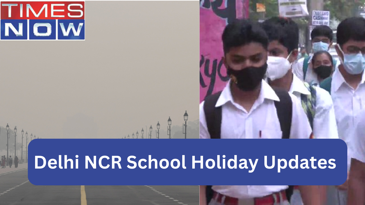 Delhi Primary Schools Shut, Schools in Noida, Faridabad Move Online as Delhi AQI Worsens