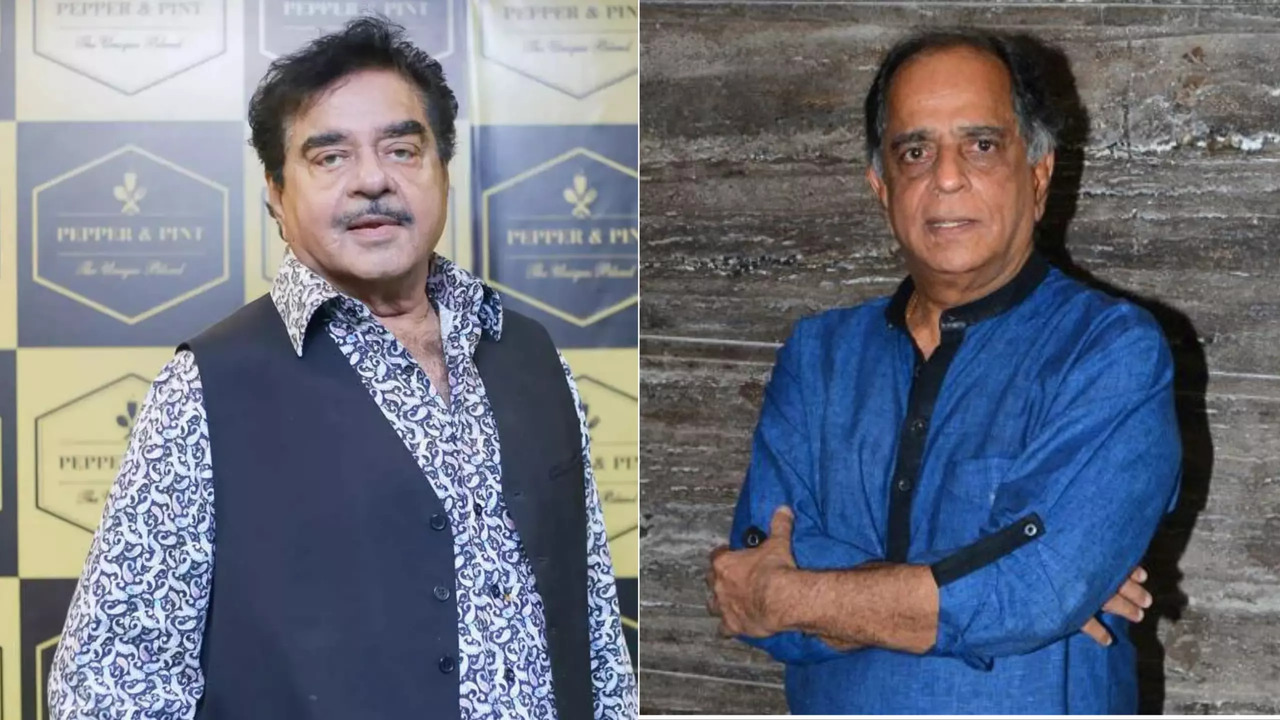 Shatrughan Sinha Sends Regards To Pahlaj Nihalani for Anari Is Backk