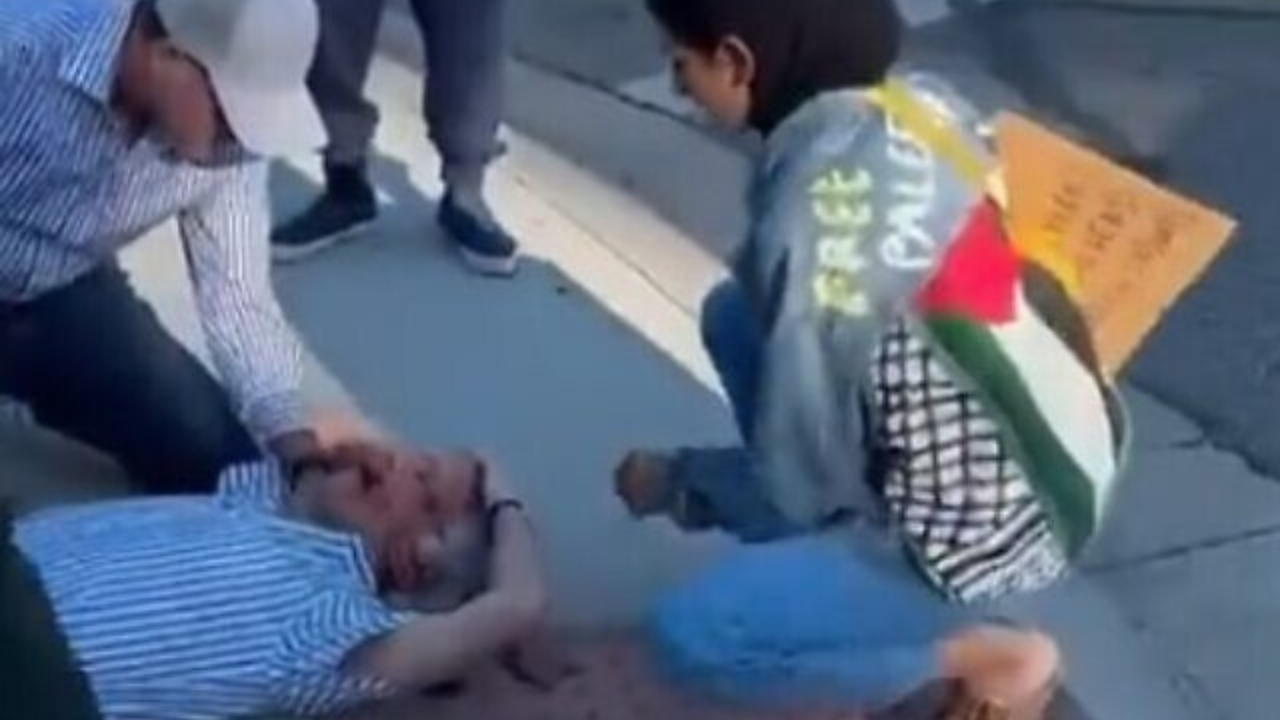 Jewish Man Dies After Being Hit By Palestine Protestor