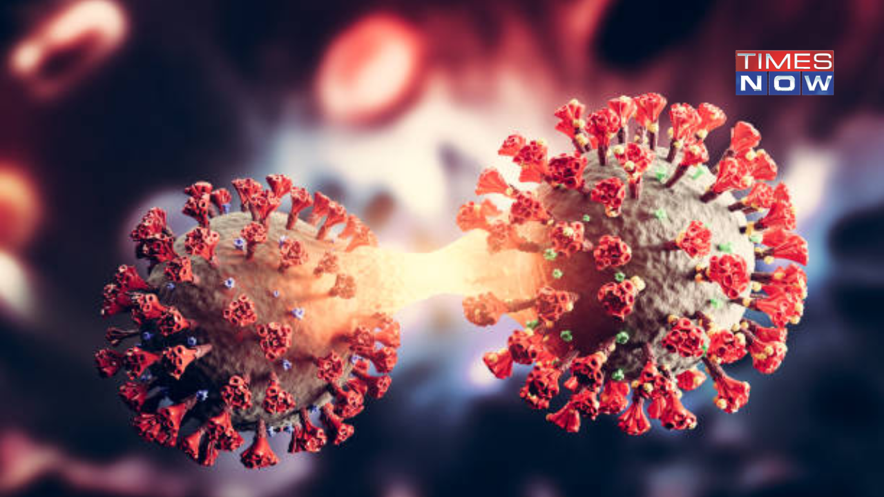 Newest Covid Variant 'JN.1' Sparks Worries Among Scientists