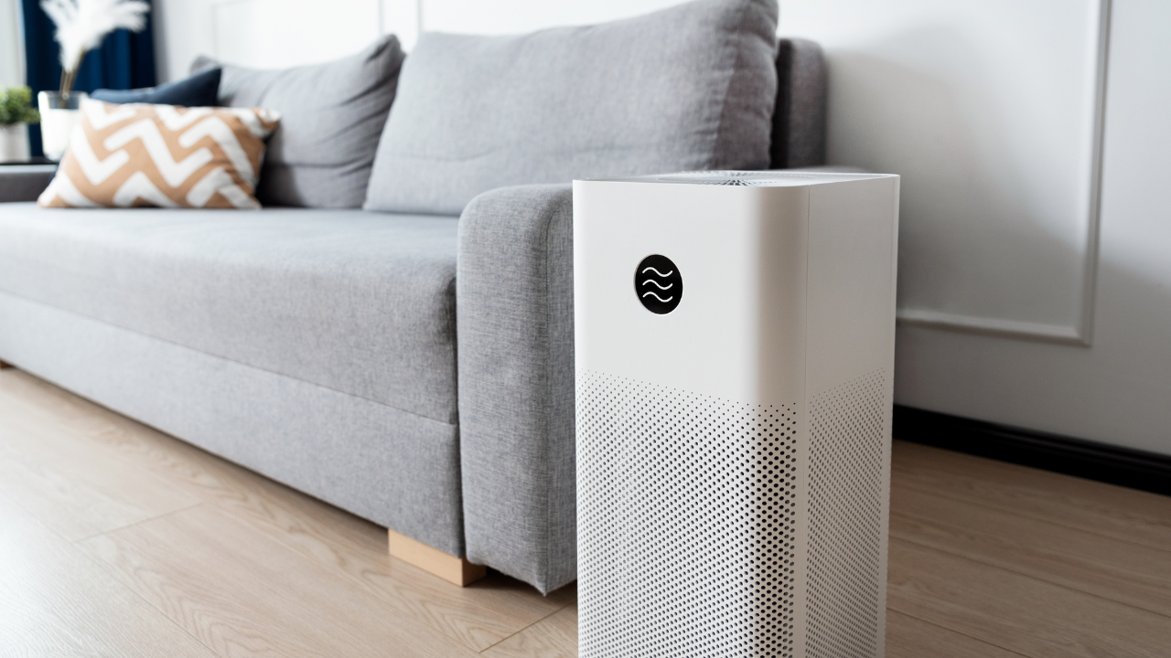 Surge In Online Queries for Air Purifiers