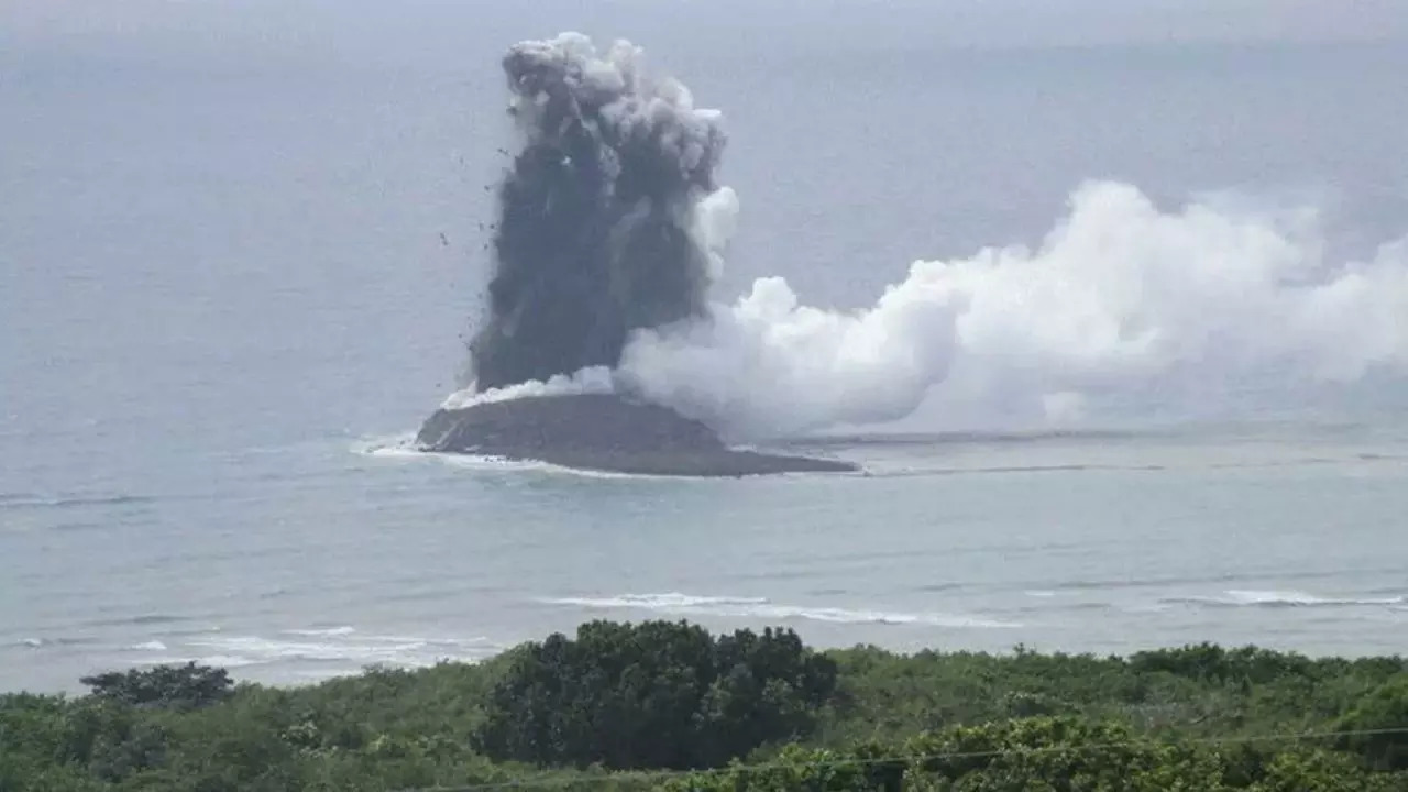 New Island in Japan