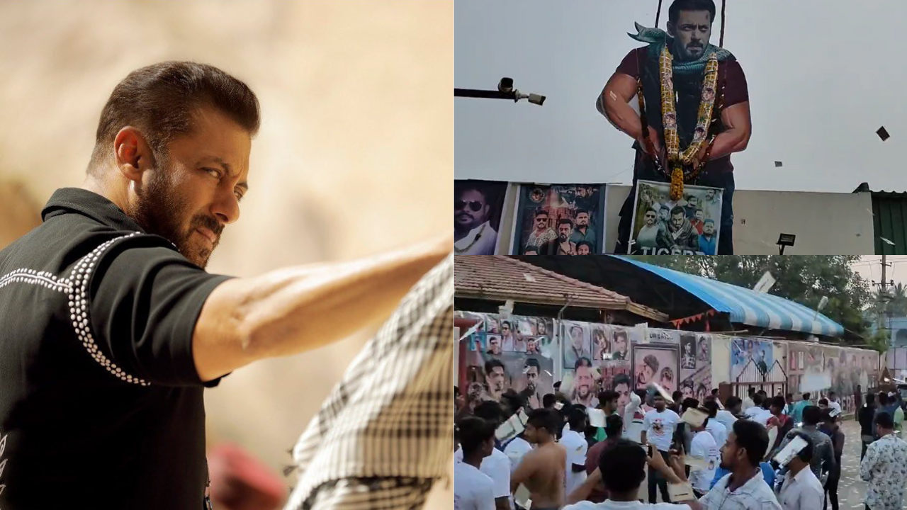 Salmania At Its Peak! Fans Celebrate Tiger 3 Release With Giant Salman Khan Posters, Dance To Dhol Beats. WATCH