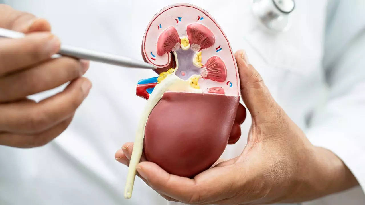 Chronic Kidney Disease