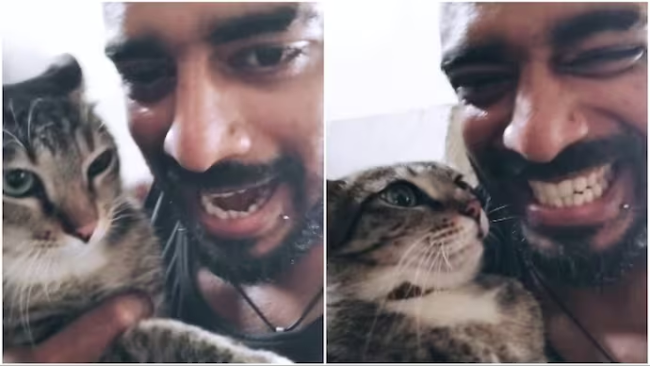 Man Recreates ‘Just Looking Like a Wow’ Meme With His Cat, Viral Video is Too Cute to Miss. Watch