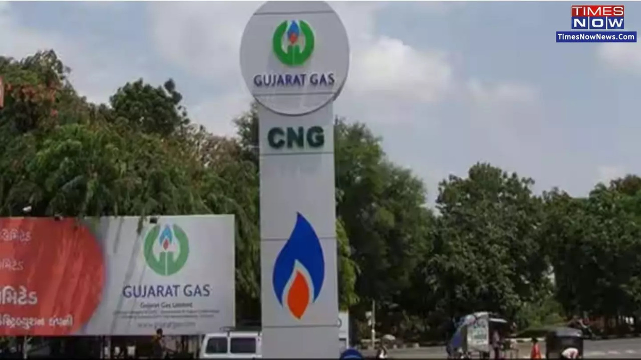 Gujarat Gas Awards Rs 49.5 Crore Order To VLL Subsidiary; Q2 PAT Up Over Two-Fold