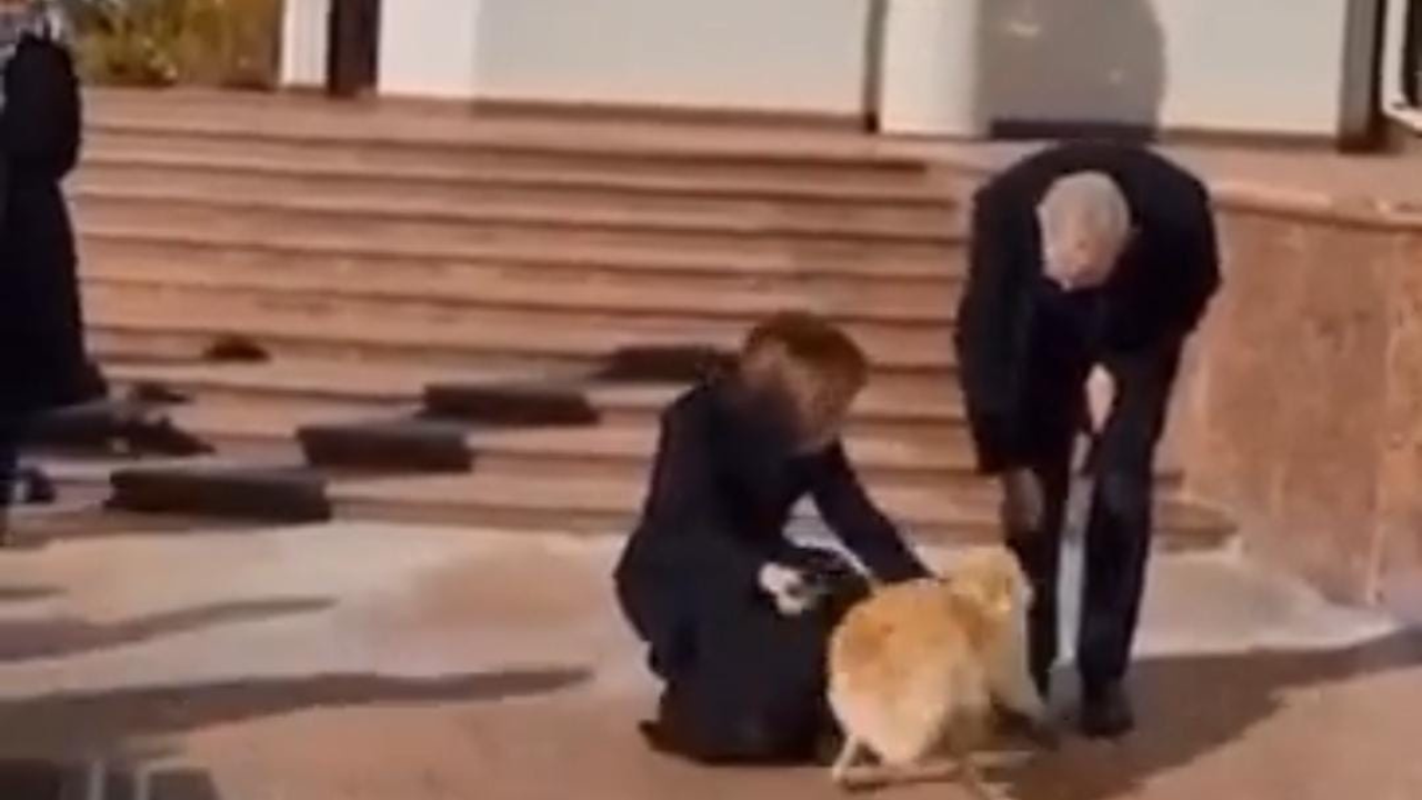 Moldova's First Dog Bites Austrian President