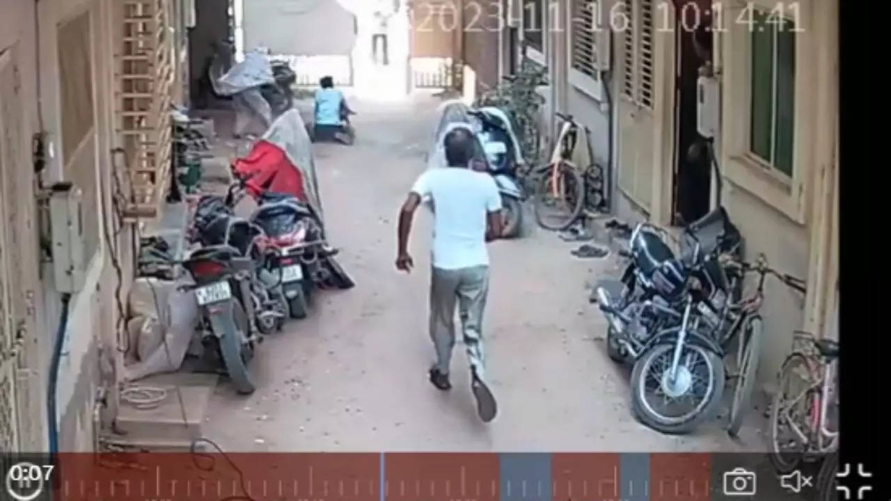 On Camera, Stray Dog Attacks 18-month-old Baby Outside His House