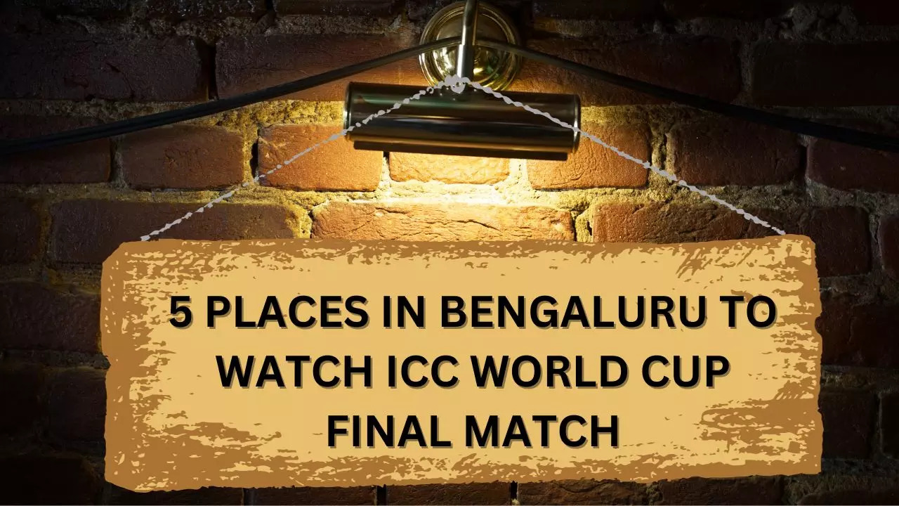 ICC world cup final