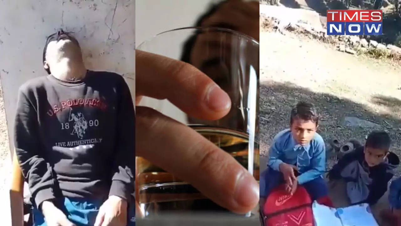 Watch | J&K Teacher Caught On CAM Boozed-Up, Suspended For Turning Drunk On Duty