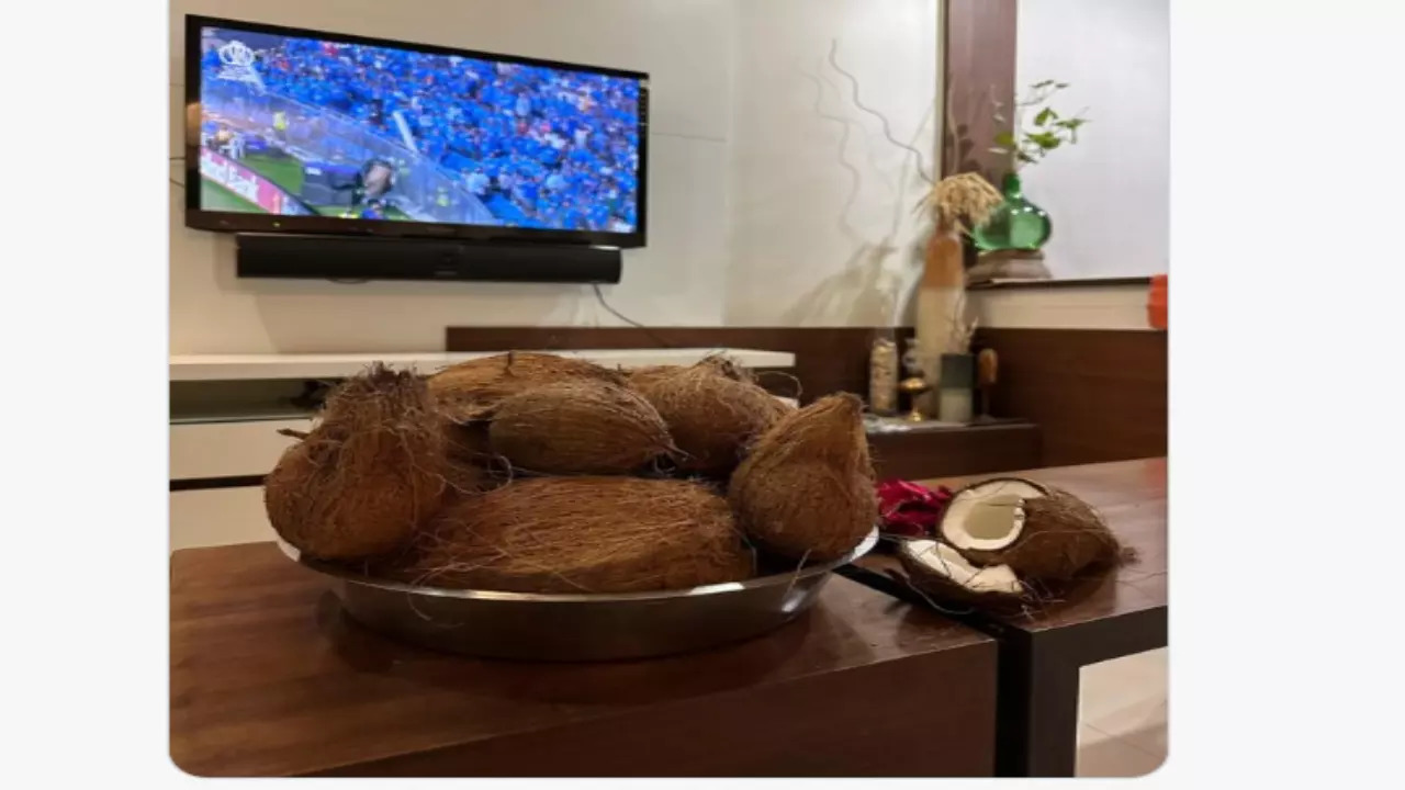 Mumbai: Cricket Fan Orders 51 Coconuts From Swiggy to Support India in ICC World Cup Final