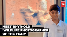 10 -Yr-Old From Bengaluru Wins Wildlife Photographer of the Year Award Top News