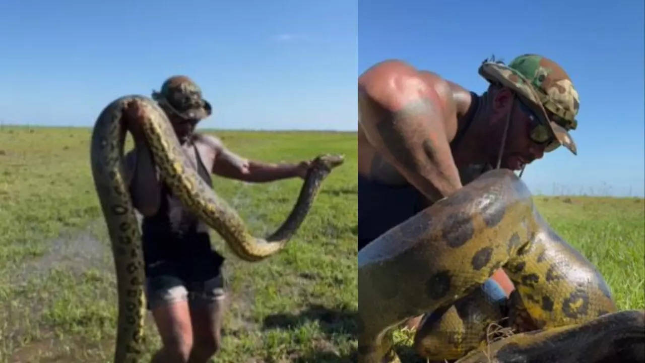 Video of girl fearlessly playing with giant snake shocks netizens