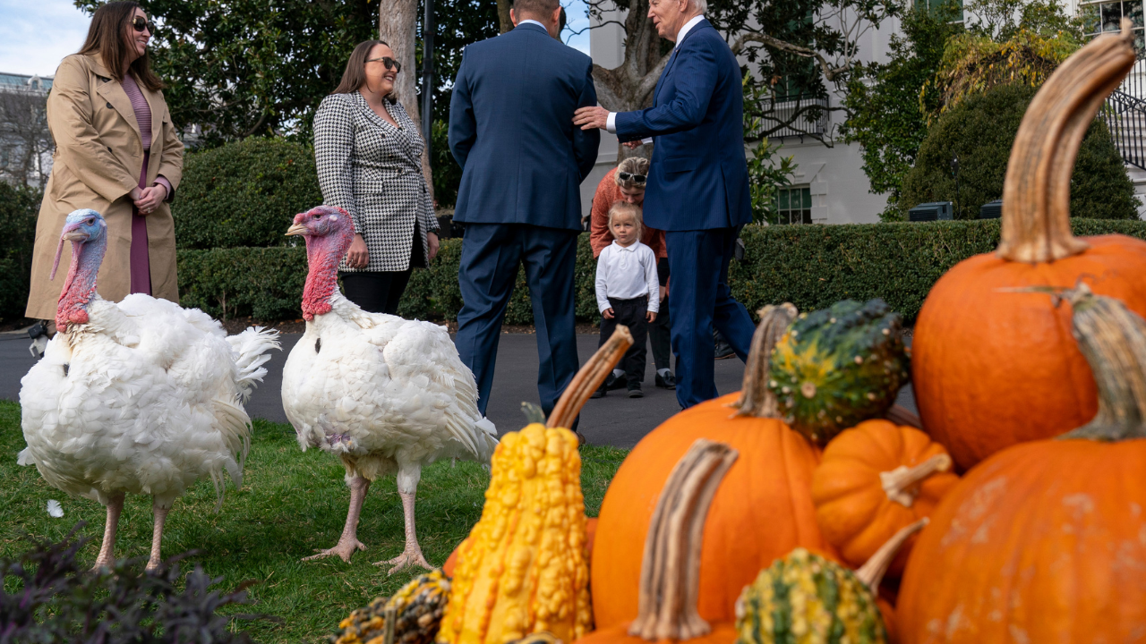 Meet Liberty and Bell: Thanksgiving Turkeys 'Roasted' By Joe Biden