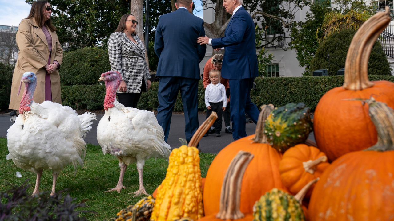 Liberty and Bell: White House's Thanksgiving Turkeys