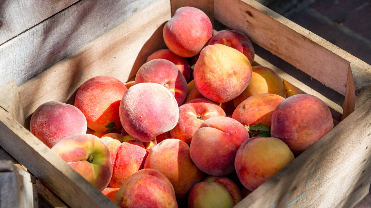 listeria outbreak leads to us-wide peaches, plums recall
