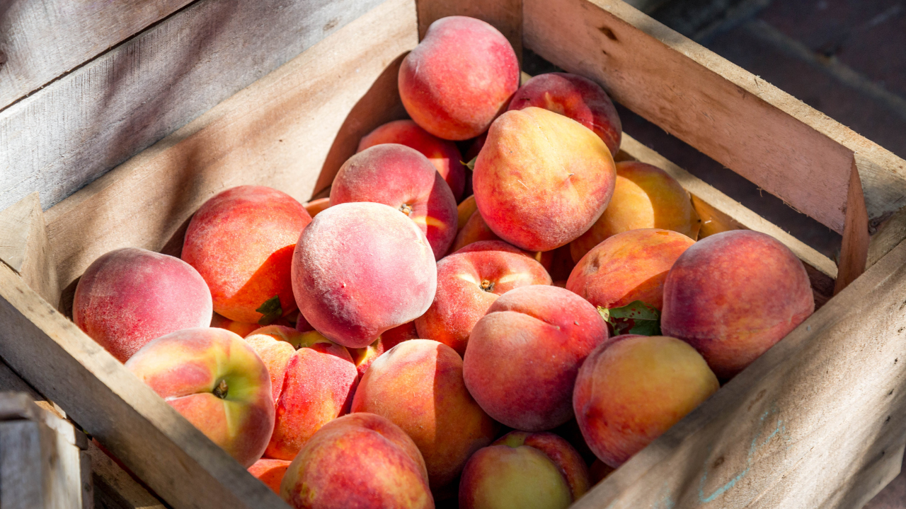 Listeria Outbreak Leads To Peaches, Plums Recall