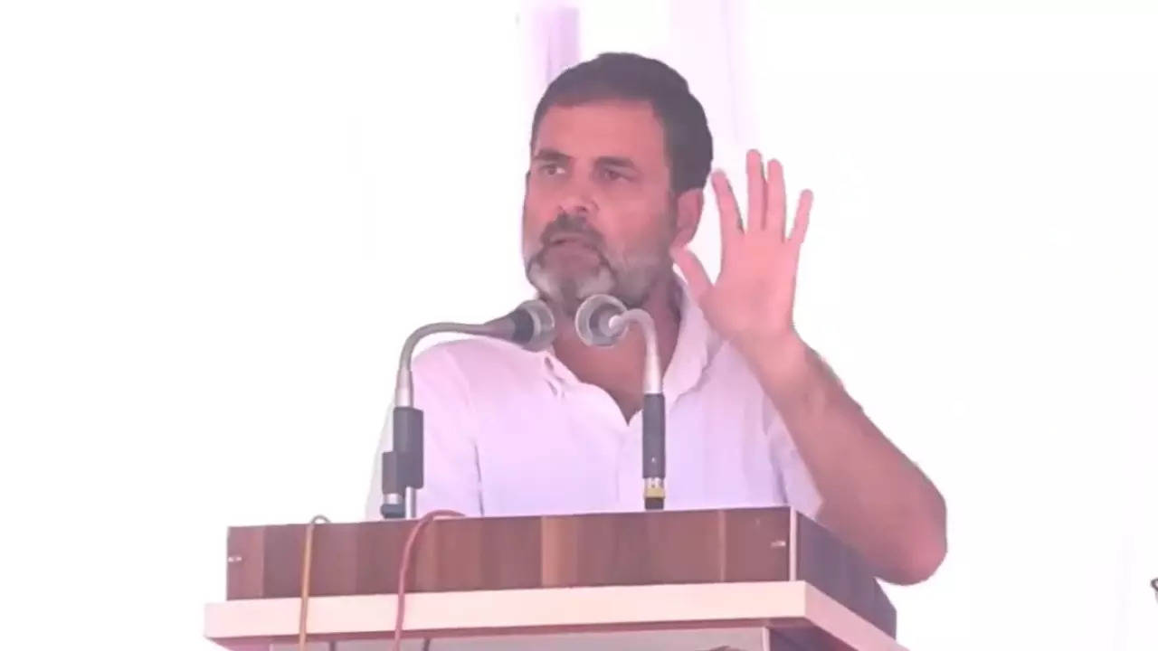 Rahul Gandhi in Rajasthan