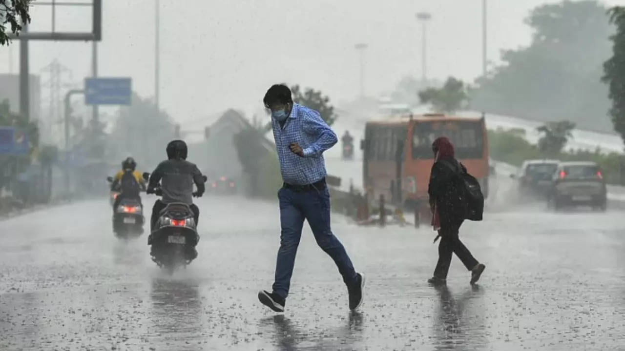 Weather Update: IMD Predicts Rainfall Over Parts Of South India, Madhya Maharashtra | Complete Forecast