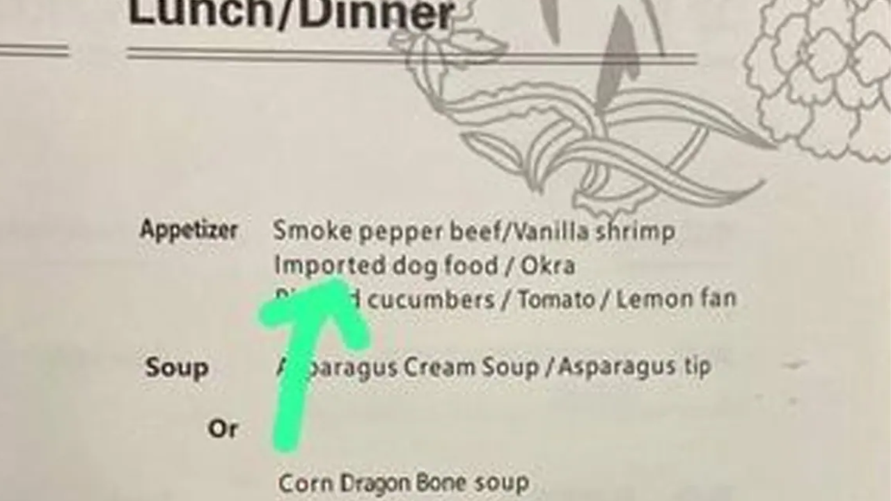 This Airline s Food Menu Lists Imported Dog Food Internet in